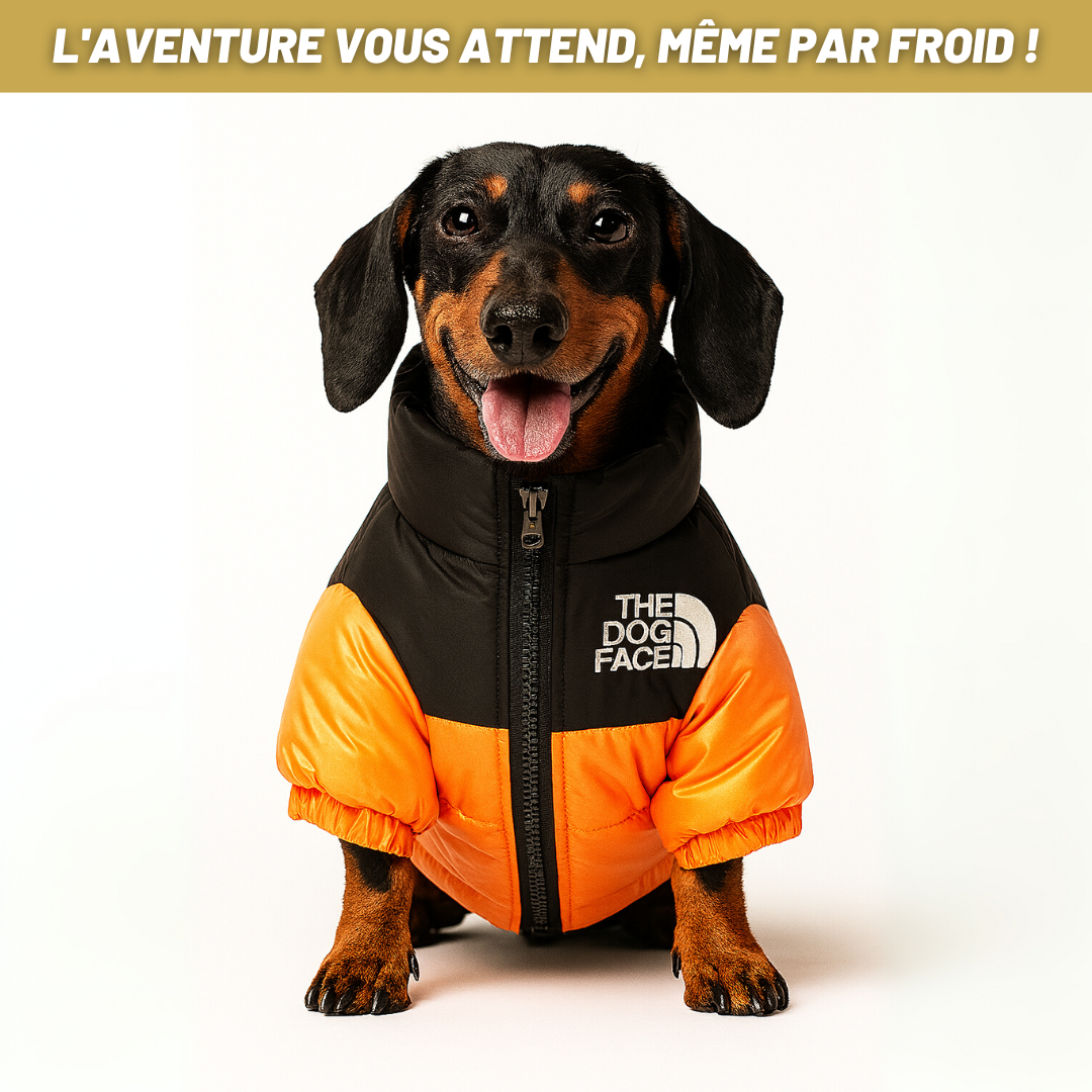 The Dog Face - Le Bouclier d'Hiver Ultime pour Chiens