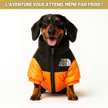 The Dog Face - Le Bouclier d'Hiver Ultime pour Chiens
