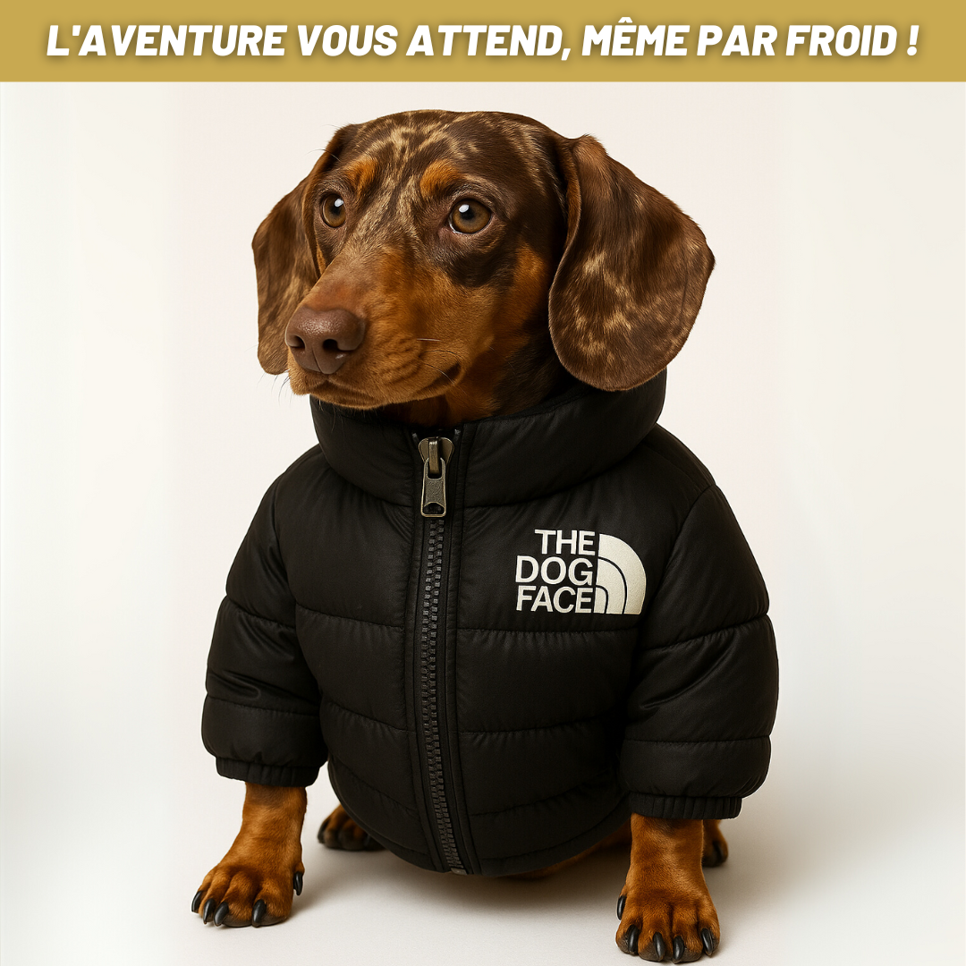 The Dog Face - Le Bouclier d'Hiver Ultime pour Chiens