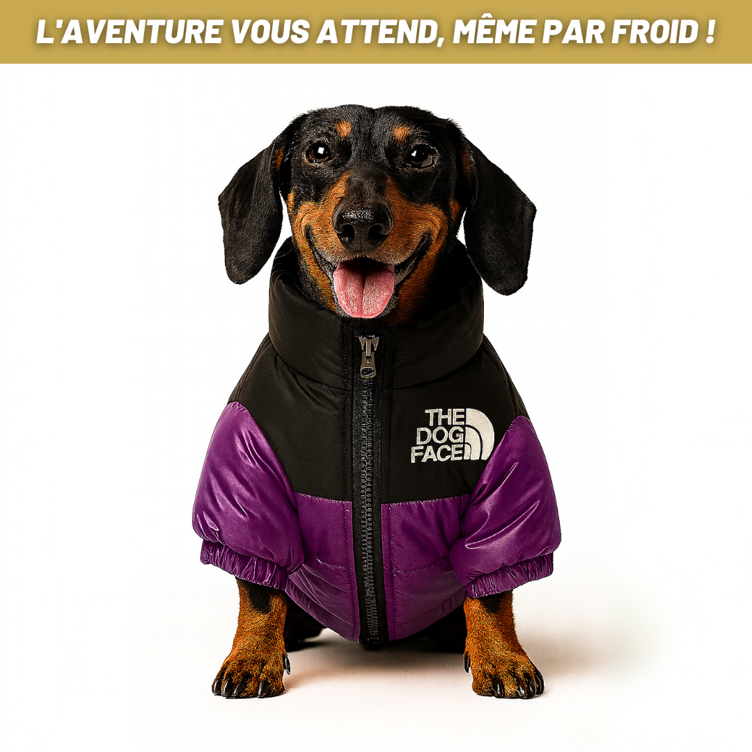 The Dog Face - Le Bouclier d'Hiver Ultime pour Chiens